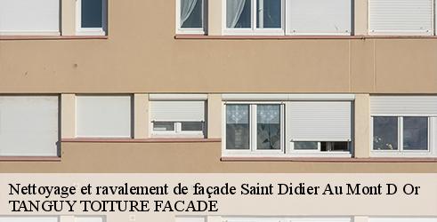 nettoyage-et-ravalement-de-facade-tanguy-toiture-facade-1