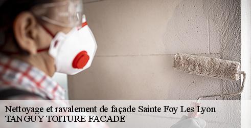 nettoyage-et-ravalement-de-facade-tanguy-toiture-facade-10