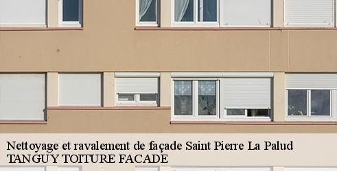 nettoyage-et-ravalement-de-facade-tanguy-toiture-facade-1