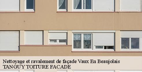 nettoyage-et-ravalement-de-facade-tanguy-toiture-facade-1