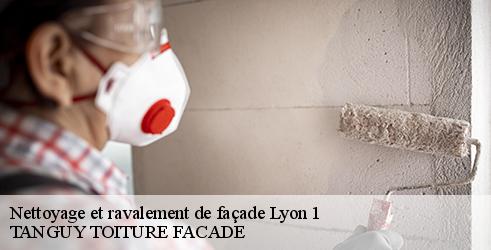 nettoyage-et-ravalement-de-facade-tanguy-toiture-facade-10