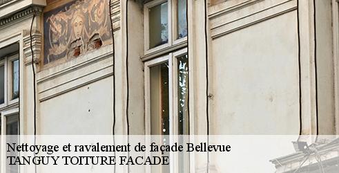 nettoyage-et-ravalement-de-facade-tanguy-toiture-facade-4