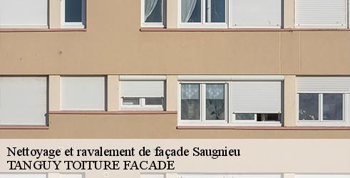 nettoyage-et-ravalement-de-facade-tanguy-toiture-facade-1