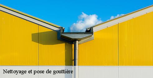 nettoyage-et-pose-de-gouttiere-tanguy-toiture-facade-3