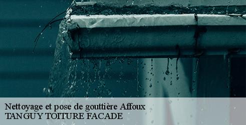 nettoyage-et-pose-de-gouttiere-tanguy-toiture-facade-7