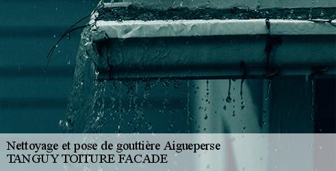 nettoyage-et-pose-de-gouttiere-tanguy-toiture-facade-7