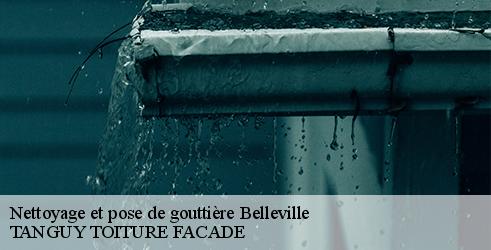nettoyage-et-pose-de-gouttiere-tanguy-toiture-facade-7