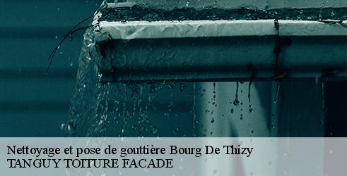 nettoyage-et-pose-de-gouttiere-tanguy-toiture-facade-7