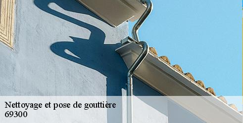 nettoyage-et-pose-de-gouttiere-tanguy-toiture-facade-2