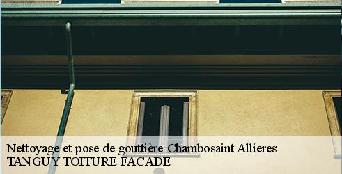 nettoyage-et-pose-de-gouttiere-tanguy-toiture-facade-4