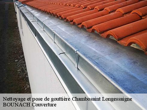 Nettoyage et pose de gouttière chambosaint-longessaigne-69770 BOUNACH Couverture