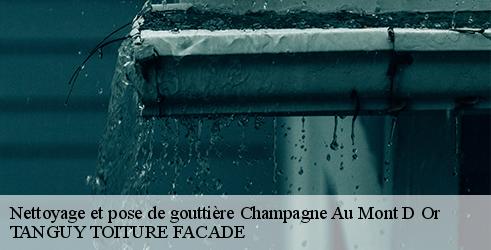 nettoyage-et-pose-de-gouttiere-tanguy-toiture-facade-7
