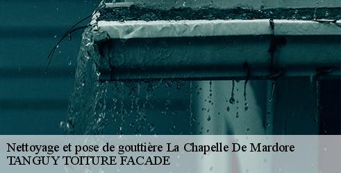 nettoyage-et-pose-de-gouttiere-tanguy-toiture-facade-7