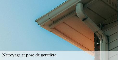 nettoyage-et-pose-de-gouttiere-tanguy-toiture-facade-6