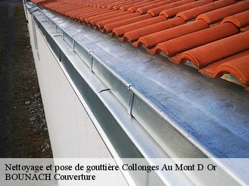 Nettoyage et pose de gouttière  collonges-au-mont-d-or-69660 BOUNACH Couverture 