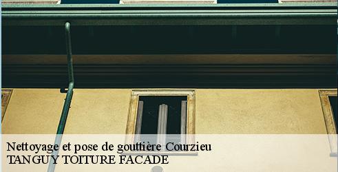 nettoyage-et-pose-de-gouttiere-tanguy-toiture-facade-4