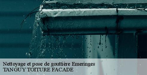 nettoyage-et-pose-de-gouttiere-tanguy-toiture-facade-7