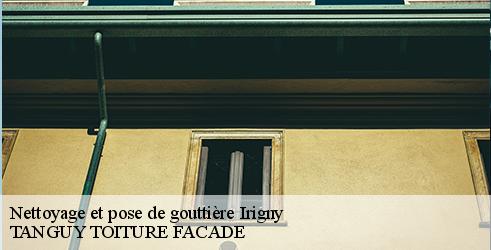 nettoyage-et-pose-de-gouttiere-tanguy-toiture-facade-4