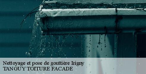 nettoyage-et-pose-de-gouttiere-tanguy-toiture-facade-7