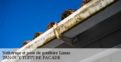 nettoyage-et-pose-de-gouttiere-tanguy-toiture-facade-10