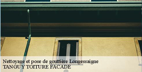 nettoyage-et-pose-de-gouttiere-tanguy-toiture-facade-4