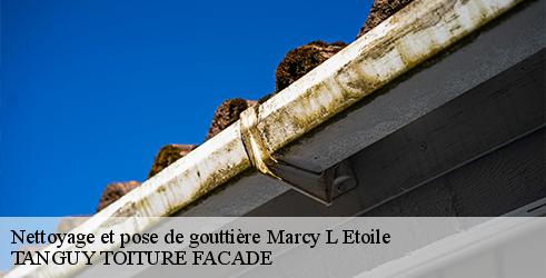 nettoyage-et-pose-de-gouttiere-tanguy-toiture-facade-10