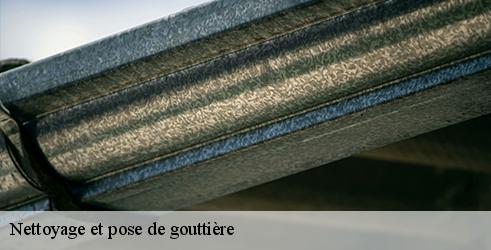 nettoyage-et-pose-de-gouttiere-tanguy-toiture-facade-9