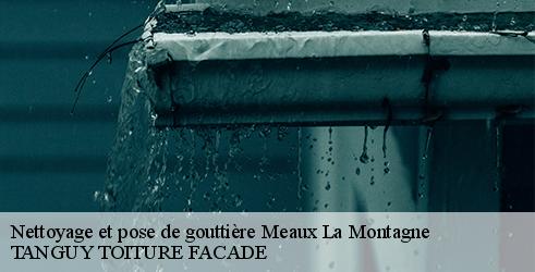 nettoyage-et-pose-de-gouttiere-tanguy-toiture-facade-7