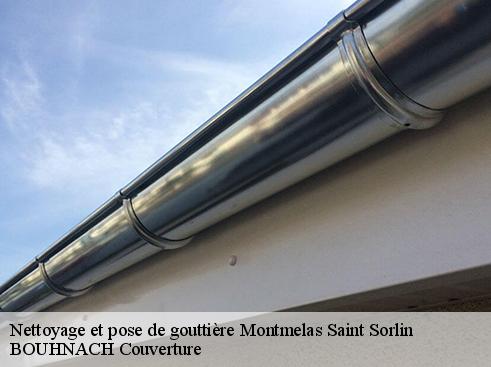 Nettoyage et pose de gouttière  montmelas-saint-sorlin-69640 Artisan Payen