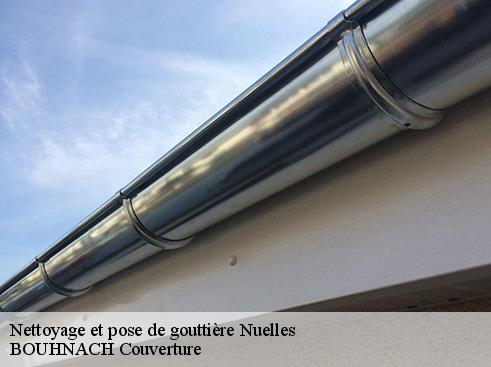 Nettoyage et pose de gouttière  nuelles-69210 Artisan Payen