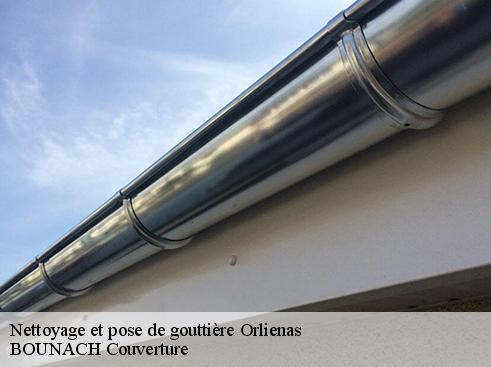 Nettoyage et pose de gouttière orlienas-69530 BOUNACH Couverture