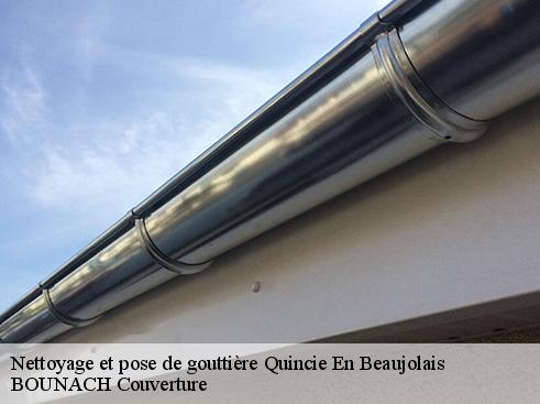 Nettoyage et pose de gouttière quincie-en-beaujolais-69430 BOUNACH Couverture
