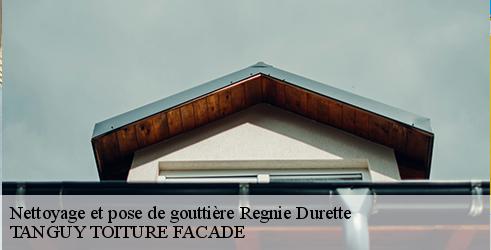 nettoyage-et-pose-de-gouttiere-tanguy-toiture-facade-1