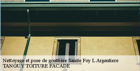 nettoyage-et-pose-de-gouttiere-tanguy-toiture-facade-4