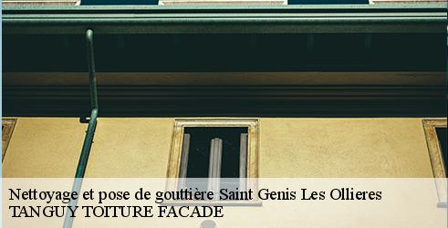 nettoyage-et-pose-de-gouttiere-tanguy-toiture-facade-4