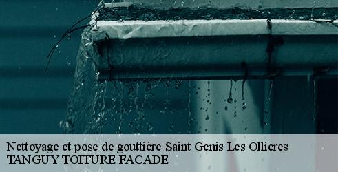 nettoyage-et-pose-de-gouttiere-tanguy-toiture-facade-7