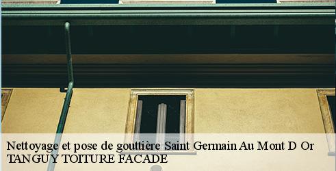 nettoyage-et-pose-de-gouttiere-tanguy-toiture-facade-4
