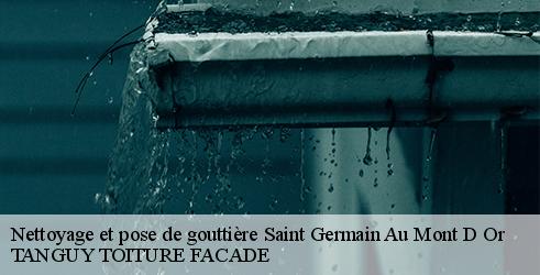 nettoyage-et-pose-de-gouttiere-tanguy-toiture-facade-7