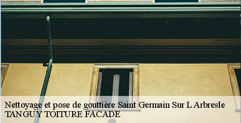 nettoyage-et-pose-de-gouttiere-tanguy-toiture-facade-4