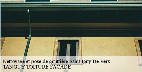 nettoyage-et-pose-de-gouttiere-tanguy-toiture-facade-4