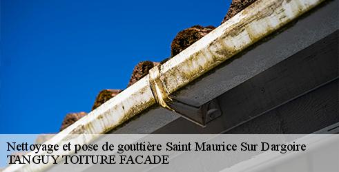 nettoyage-et-pose-de-gouttiere-tanguy-toiture-facade-10