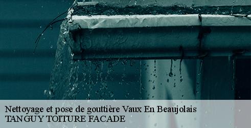 nettoyage-et-pose-de-gouttiere-tanguy-toiture-facade-7
