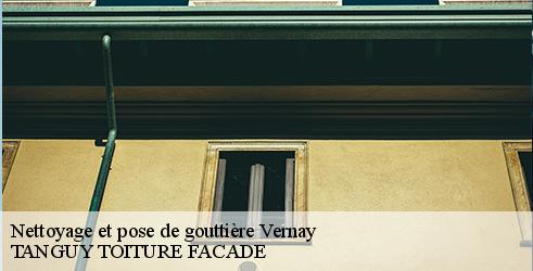 nettoyage-et-pose-de-gouttiere-tanguy-toiture-facade-4