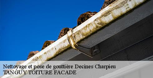 Nettoyage et pose de gouttière TANGUY TOITURE FACADE