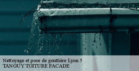 nettoyage-et-pose-de-gouttiere-tanguy-toiture-facade-7