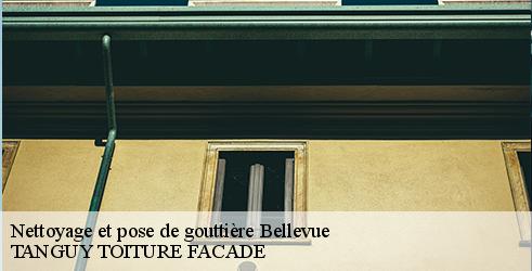 nettoyage-et-pose-de-gouttiere-tanguy-toiture-facade-4