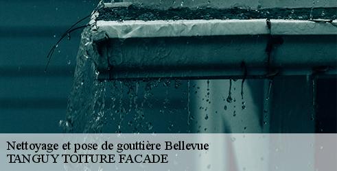 nettoyage-et-pose-de-gouttiere-tanguy-toiture-facade-7