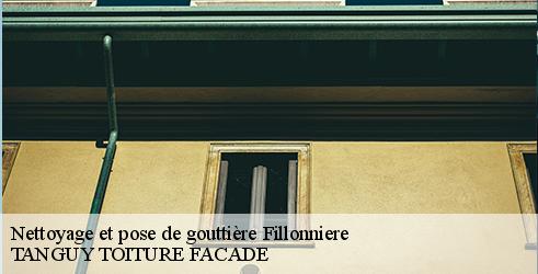 nettoyage-et-pose-de-gouttiere-tanguy-toiture-facade-4