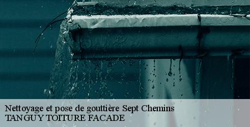 nettoyage-et-pose-de-gouttiere-tanguy-toiture-facade-7