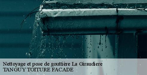nettoyage-et-pose-de-gouttiere-tanguy-toiture-facade-7